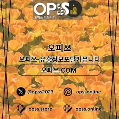제주도오피 오피사이트.NET 제주도OP