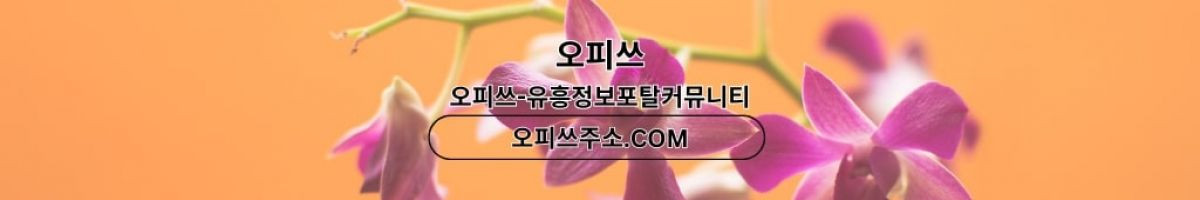 역삼건마 오피사이트.NET 역삼마사지 