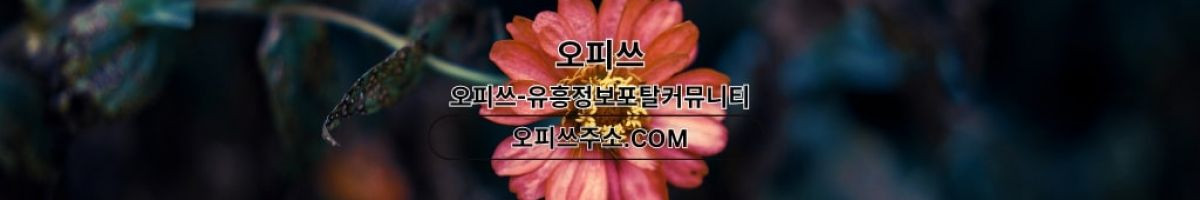 강북오피 오피.CLUB 강북OP