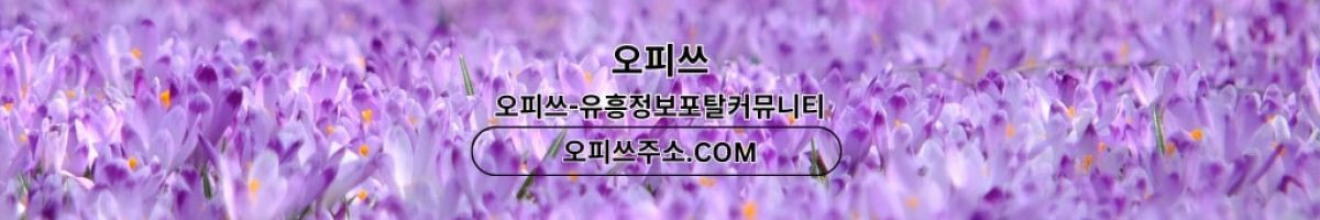 제주건마 오피쓰.COM 제주마사지 